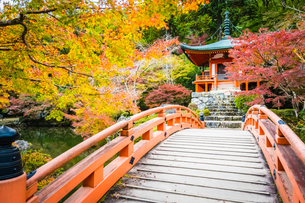 Momijigari, il foliage in Giappone