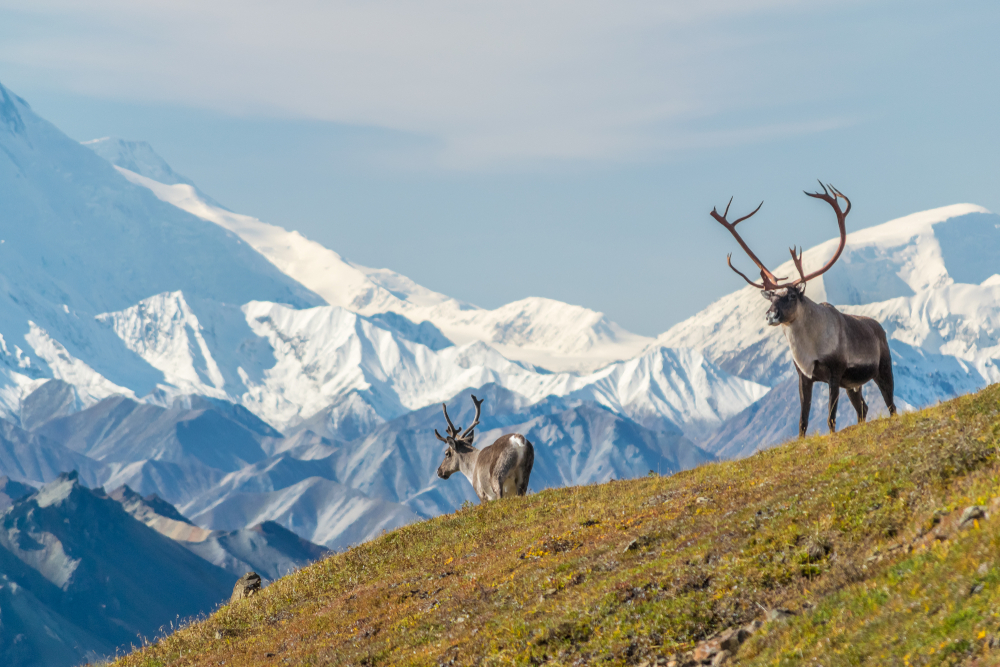 Alaska