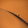 oryx