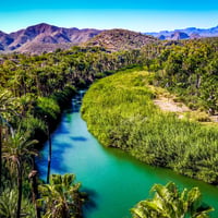 mulege