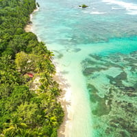 bocas del toro
