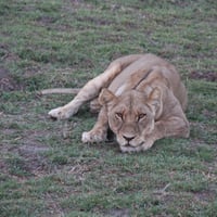 Botswana