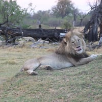 Botswana