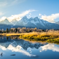 yellowstone