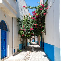 medina tunisi