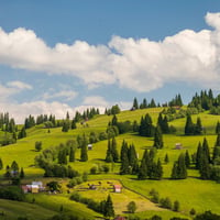 bucovina