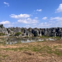 foresta di pietra