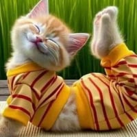 Profile picture for user 211236