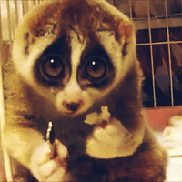 Profile picture for user Eva Dacca