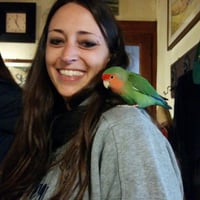 Profile picture for user FEDERICA80
