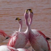 Profile picture for user galleryno