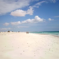 Profile picture for user Ilariag