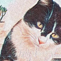 Profile picture for user Isa.b.e.