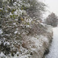 Profile picture for user laura2