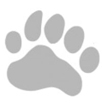 Profile picture for user MPaul