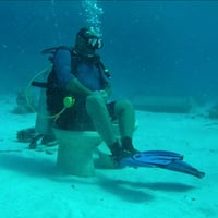 Profile picture for user FP