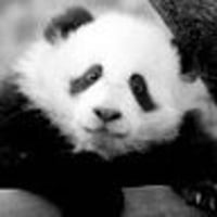 Profile picture for user gioco10