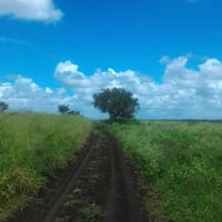 Profile picture for user Grinch73