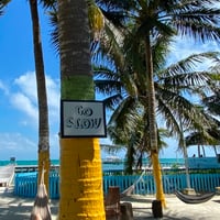 Profile picture for user Manuwow