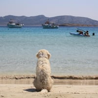 Profile picture for user Mickybon