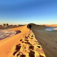 Profile picture for user Monica58Bo