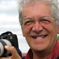 Profile picture for user Saro Di Bartolo