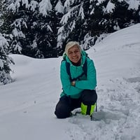 Profile picture for user stefaniamercanti