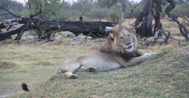 Botswana