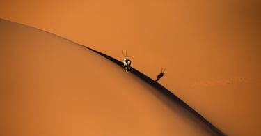 oryx