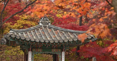 5 ottime ragioni per viaggiare in autunno