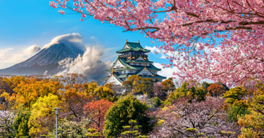 Libri in fiore: consigli letterari per l'Hanami