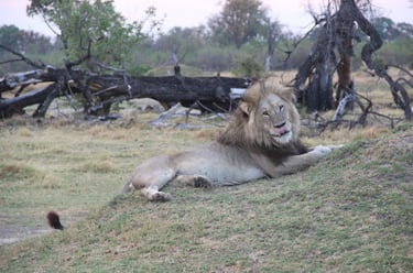 Botswana
