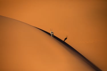 oryx