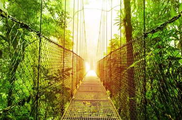 ponte tibetano