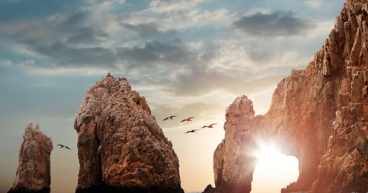 Alaska e Baja California: meraviglie della Natura