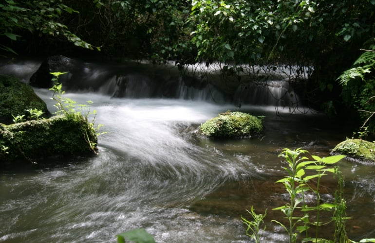 Valle Treja