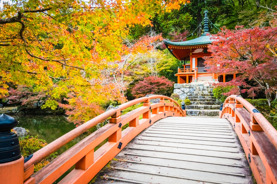 Momijigari, il foliage in Giappone