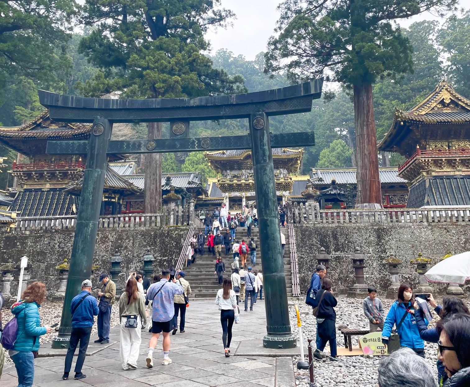 Nikko 2024 Michela iorio