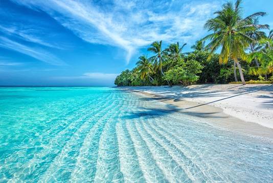 Immagine che contiene aria aperta, nuvola, Tropici, albero