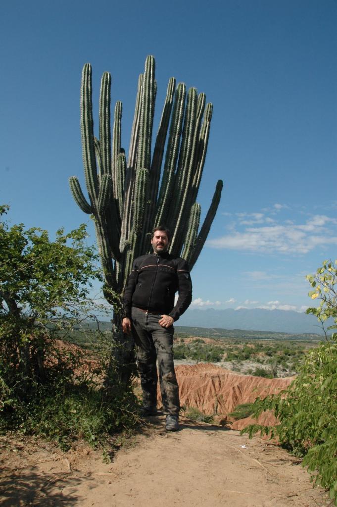 Profile picture for user tiratarde