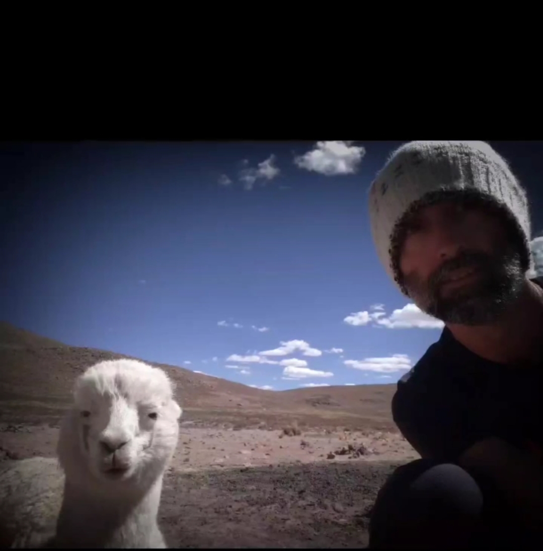 Profile picture for user Beppe75gvt