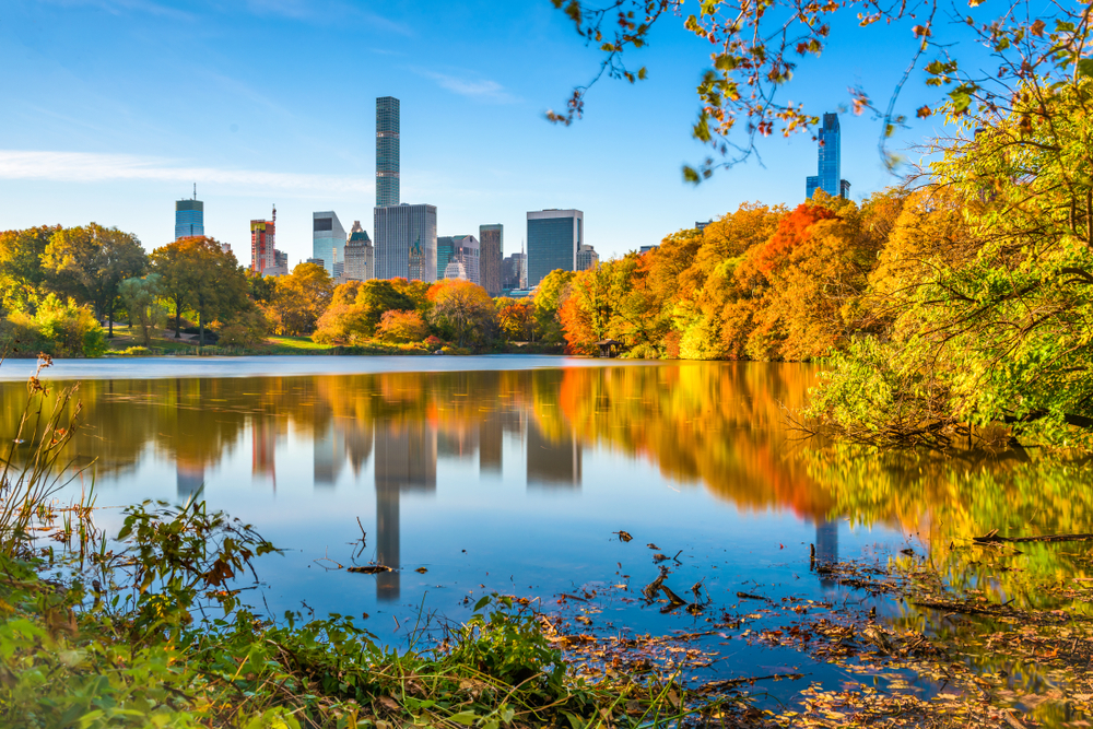 Autunno New York