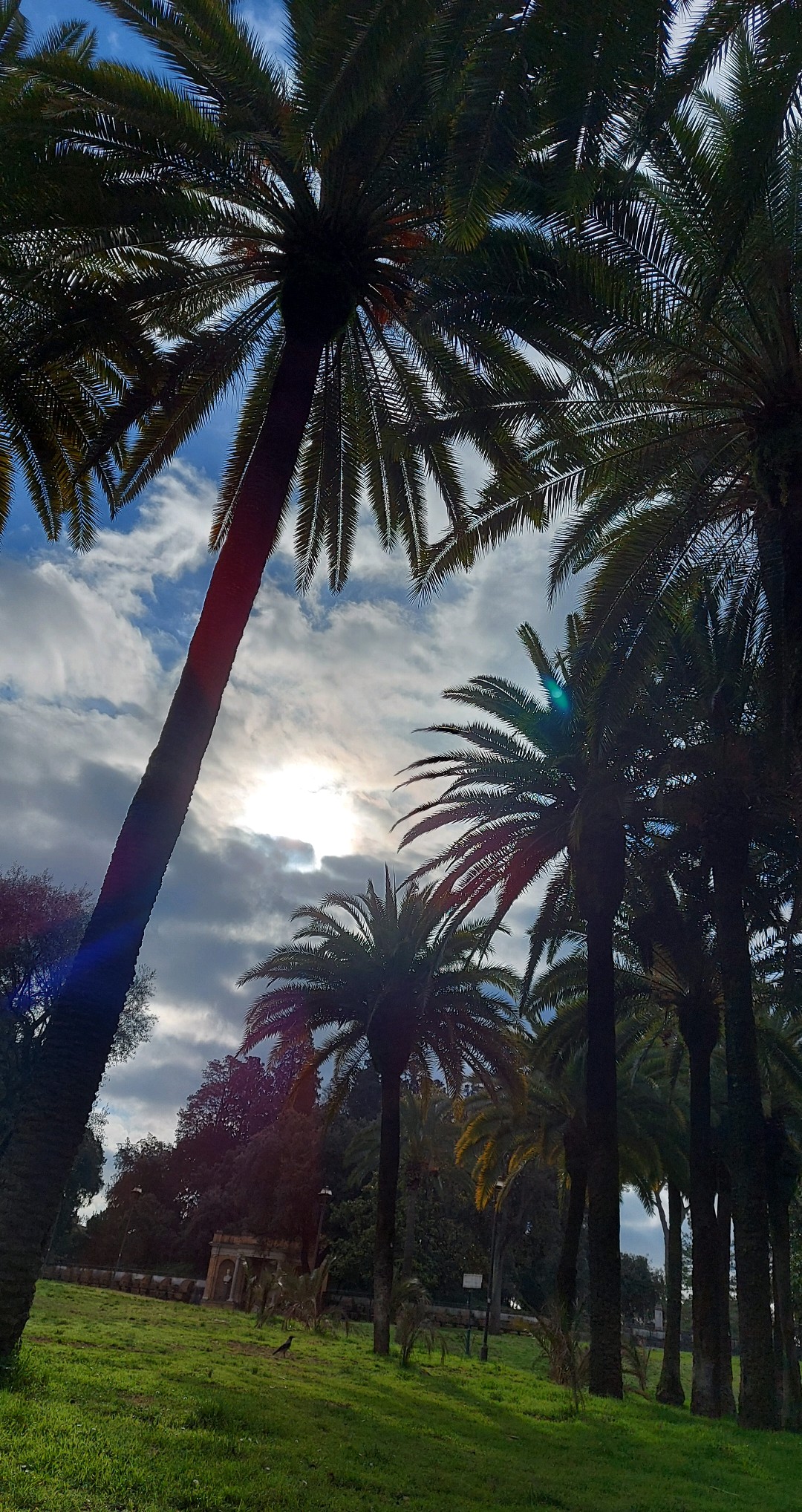 Profile picture for user anna.zak