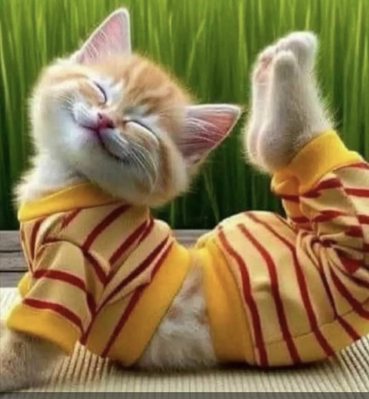 Profile picture for user 211236