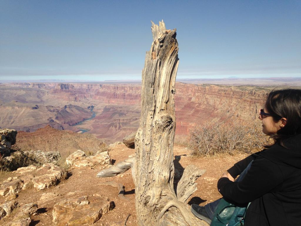 Profile picture for user Cricole