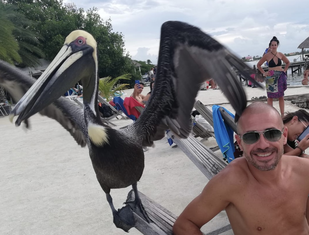 Profile picture for user FedeG80