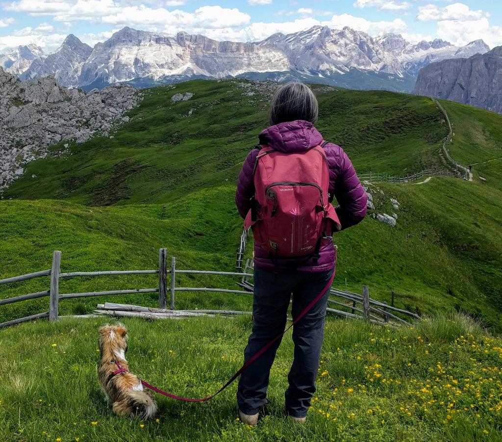 Profile picture for user FrancescaVet81