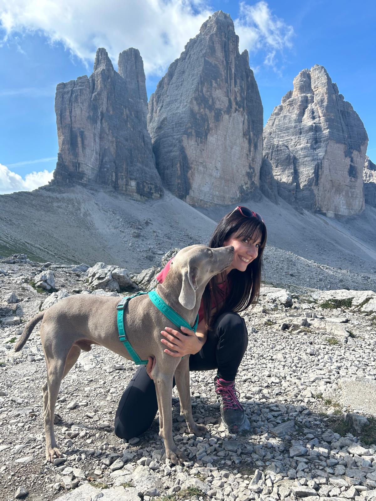 Profile picture for user LaVale13