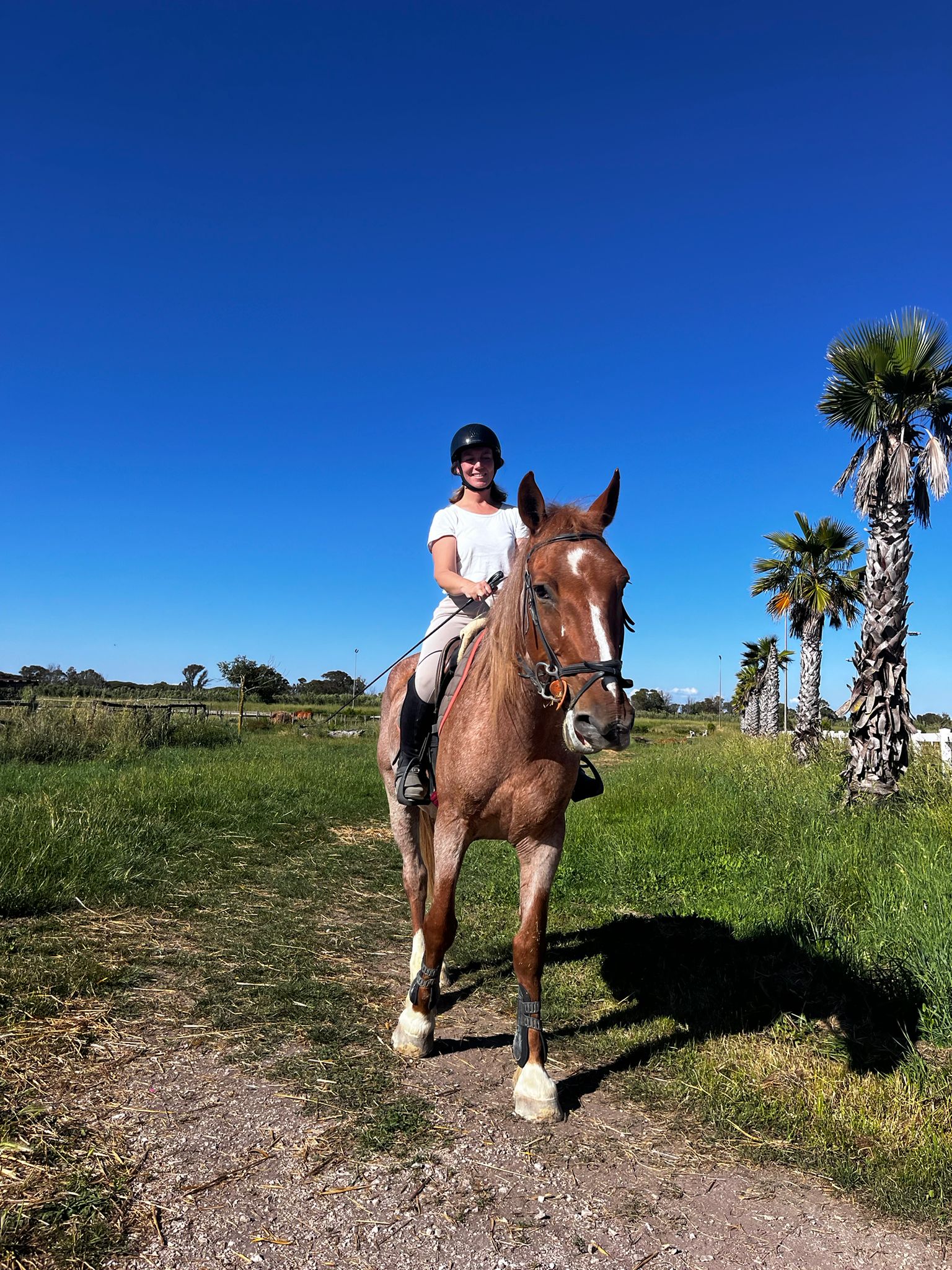 Profile picture for user Lucilla1974