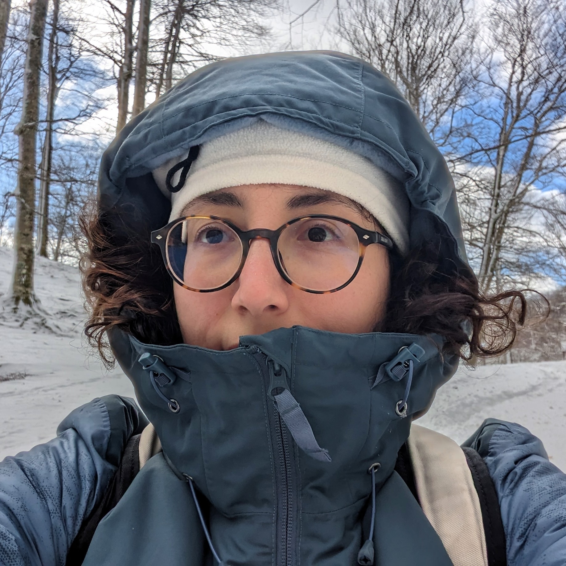 Profile picture for user marti.hood